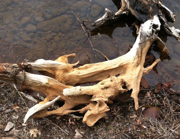 Driftwood